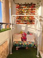 Balcony 1