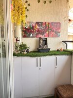 Balcony 1