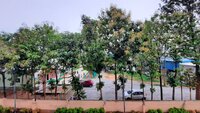 Balcony 1
