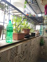 Balcony 1