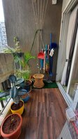 Balcony 1