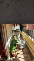 Balcony 1