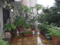 Balcony 1