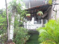 Garden 1