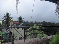 Garden 1