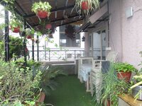 Garden 1