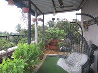 Garden 1
