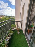 Balcony 1