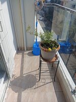 Balcony 1