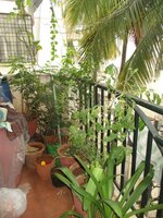 Balcony 1