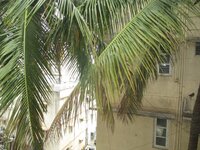 Balcony 1
