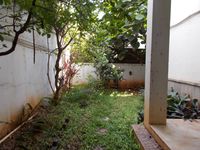 Back Yard 1