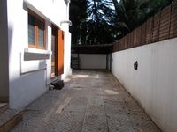 Front Yard 1