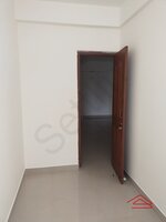 Study Only 1