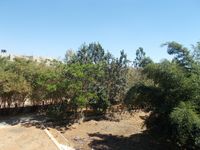 Balcony 2