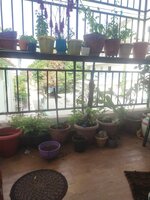 Balcony 1