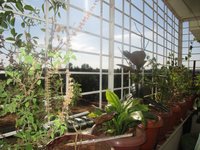 Balcony 1