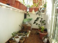 Balcony 1