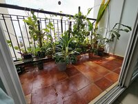 Balcony 1