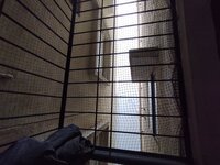 Balcony 2