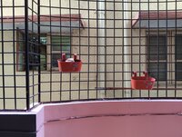 Balcony 1
