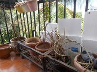 Balcony 2