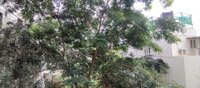 Balcony 2