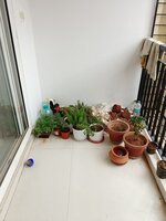 Balcony 1