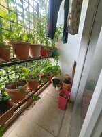 Balcony 1