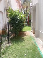 Garden 1