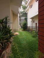 Garden 1