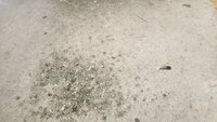 parkings 1