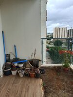 Balcony 1