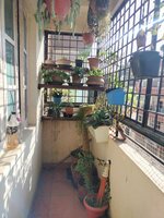 Balcony 2