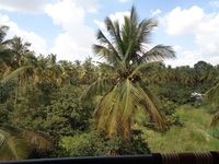 Balcony 3