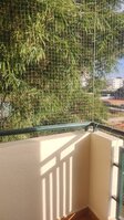 Balcony 2