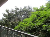 Balcony 2