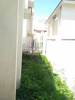 Back Yard 1