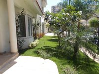 Front Yard 1