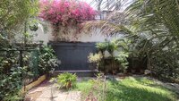 Garden 1