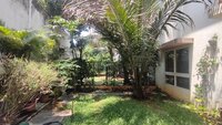 Garden 1