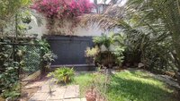 Garden 1