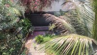 Garden 1