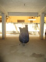 parkings 1