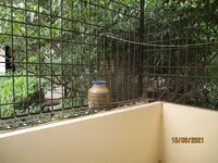 Balcony 2