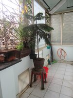 Balcony 2
