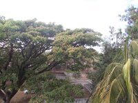 Balcony 1
