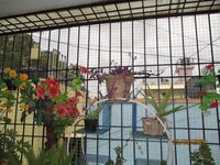 Balcony 1