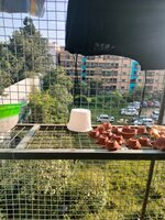 Balcony 2