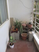 Balcony 1